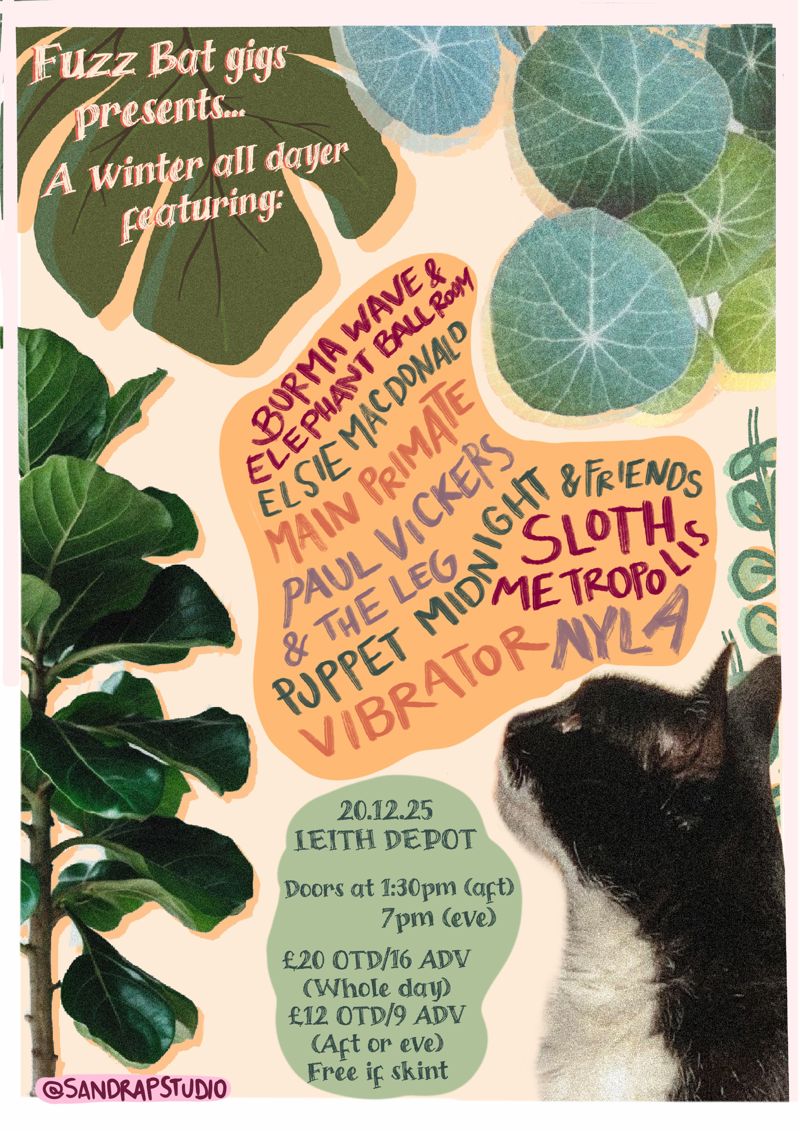 Burma Wave & Elephant Ballroom, Elsie MacDonald, Main Primate, Nyla, Paul Vickers & The Leg, Puppet Midnight & Friends, Sloth Metropolis, Vibrator