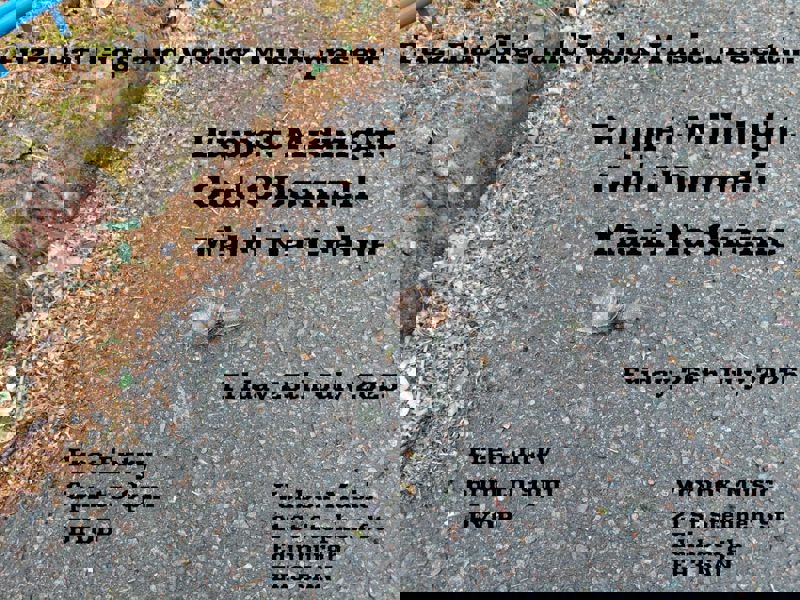 Puppet Midnight, Cod O'Donnell, Màiri Na Grèine