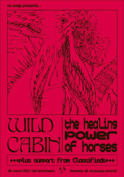 The Healing Power Of Horses +Wild Cabin + Classifieds