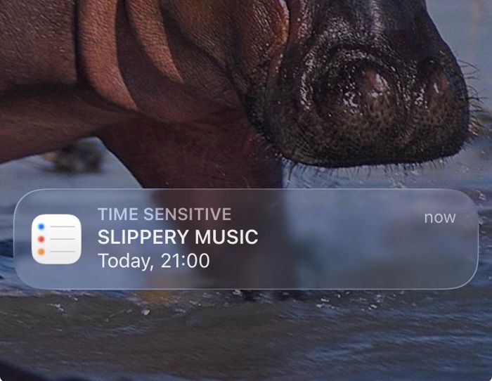 2027-01-22 Slippery Music Debut! with: Gabriel, Lospos, TBA (1)