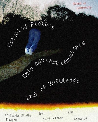 Vsevolod Plotkin, Gals Against Lawnmowers, Lack of Knowledge