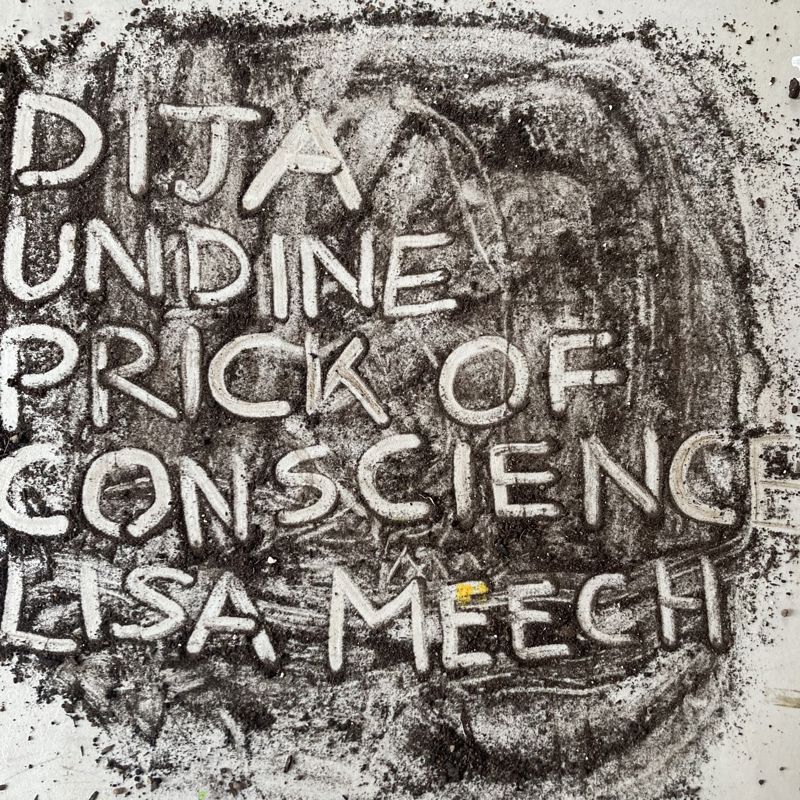 Events Research Programme: Prick of Conscience, Undine, Lisa Meech, DIJA (2)