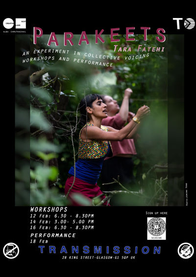 Parakeets - Tara Fatehi