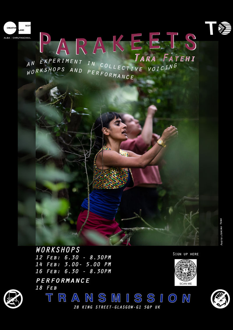 2026-02-12 Parakeets - Tara Fatehi