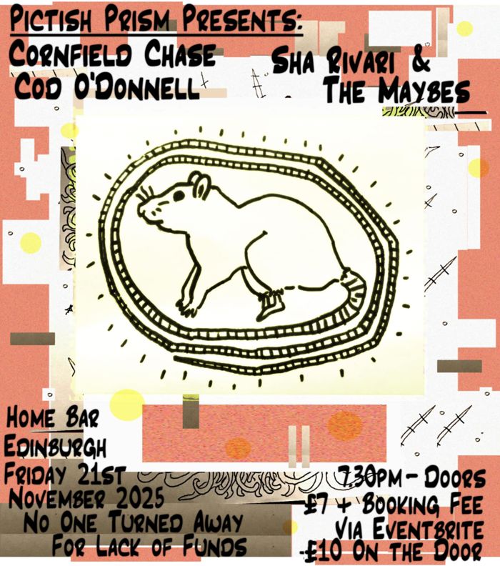 Cornfield Chase, Sha Rivari & The Maybes, Cod O'Donnell