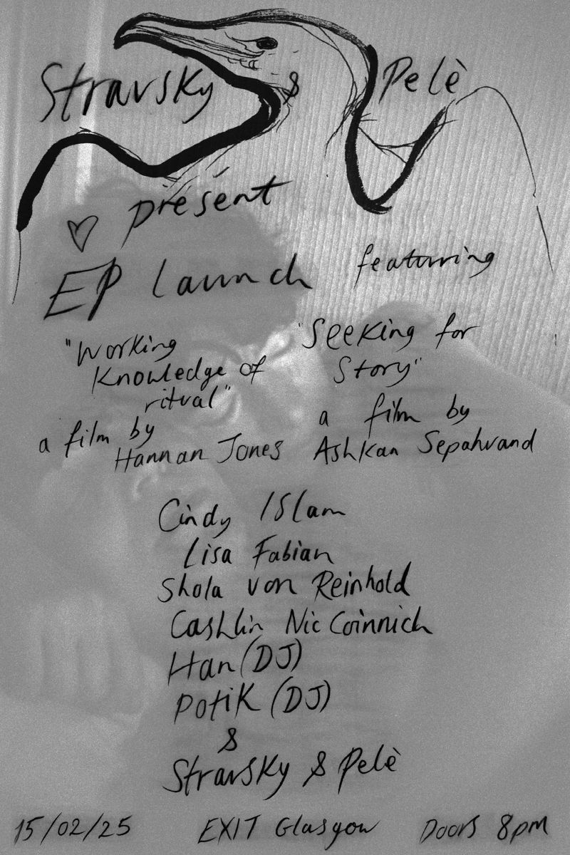 ‘Seeking for Story’ a film by Ashkan Sepahvand ‘Working Knowledge’ a film by Hannan Jones  Cindy Islam (live) Lisa Fabian (live) Shola von Reinhold (live) Cashlin Nic Coinnich (live) Han (DJ) Potik (DJ) & stravsky & pelè