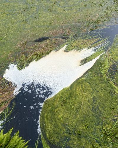 POROUS, AMBIVALENT Workshop 2: River is/as Vessel - 16 Collective Glasgow International Public Programme