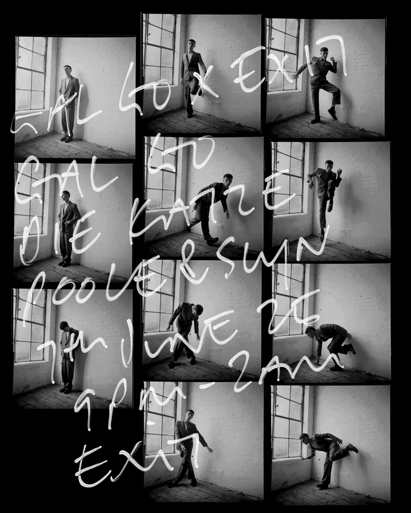 GAL GO, DIE KATZE, poole & slyn