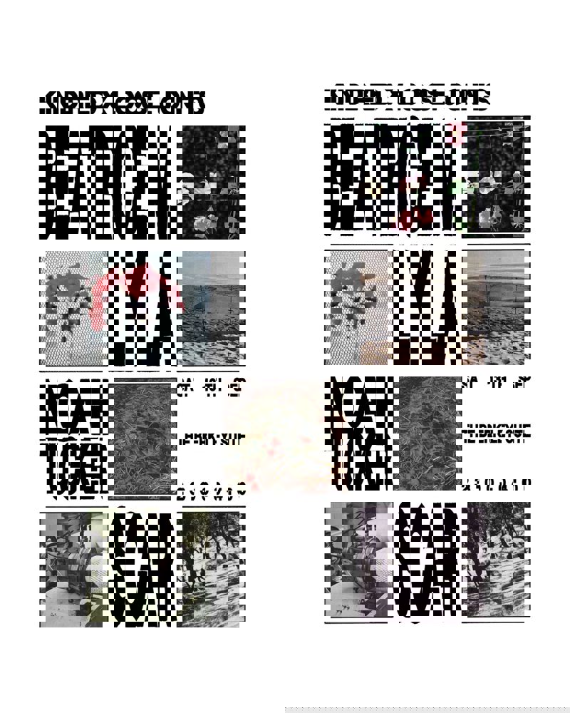 Beatrice M., Lyla, Scar, Noah Tucker